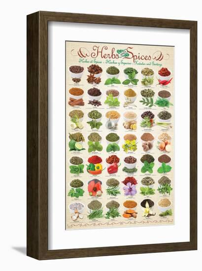 Herbs & Spices-null-Framed Premium Giclee Print