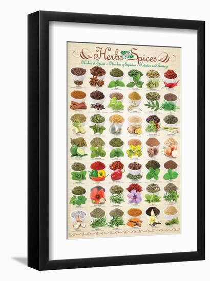 Herbs & Spices-null-Framed Art Print