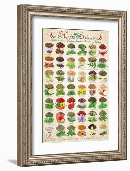 Herbs & Spices-null-Framed Art Print