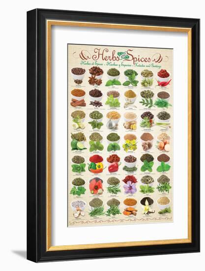 Herbs & Spices-null-Framed Art Print
