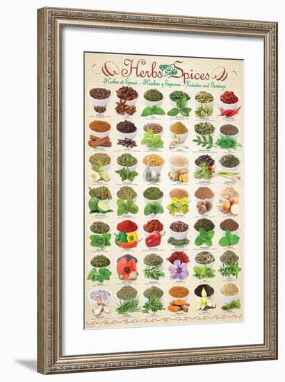 Herbs & Spices--Framed Art Print