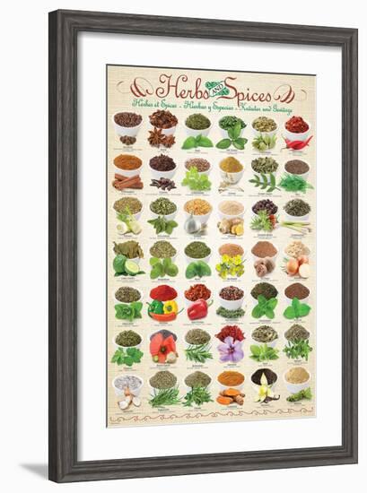Herbs & Spices--Framed Art Print