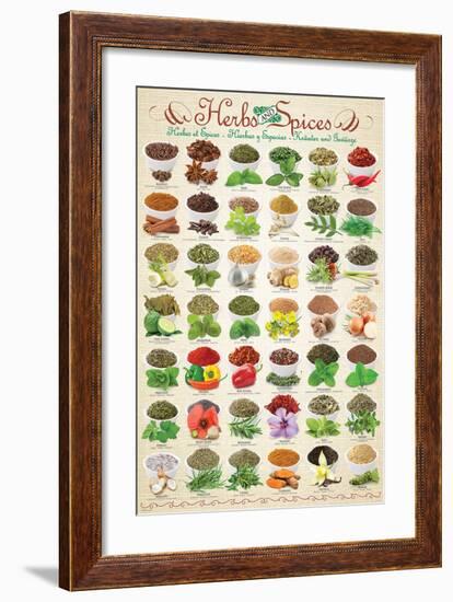 Herbs & Spices-null-Framed Art Print