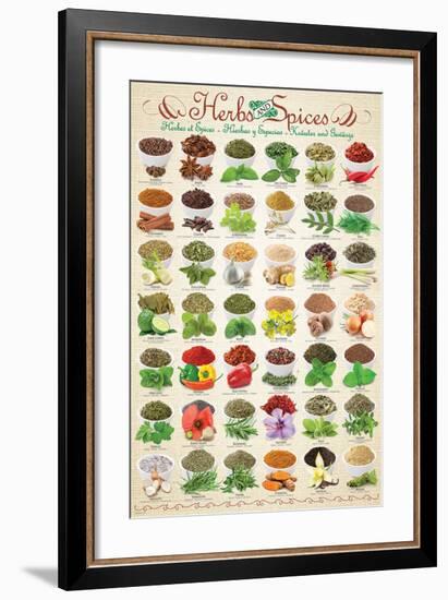 Herbs & Spices-null-Framed Art Print