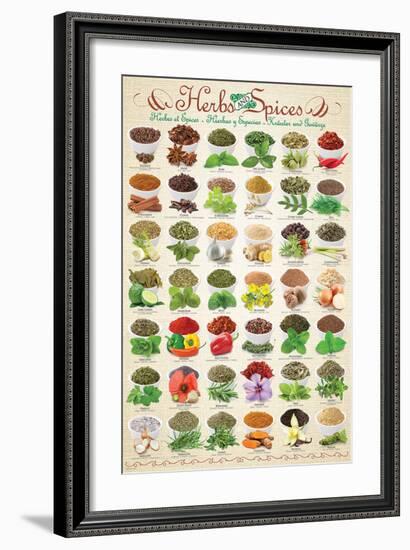 Herbs & Spices-null-Framed Art Print