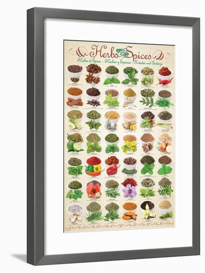 Herbs & Spices-null-Framed Art Print