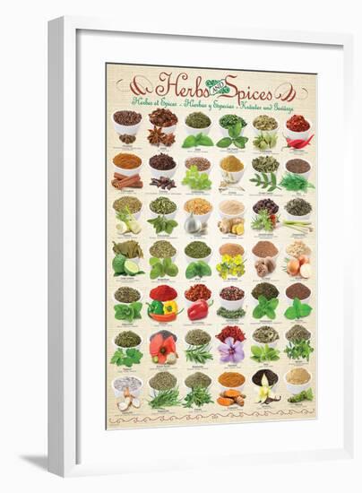 Herbs & Spices-null-Framed Art Print