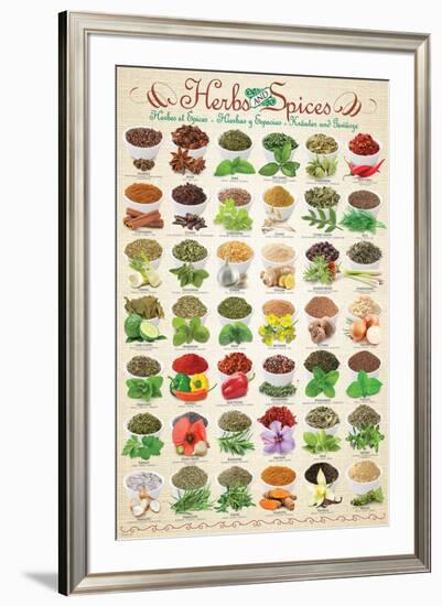 Herbs & Spices-null-Framed Art Print