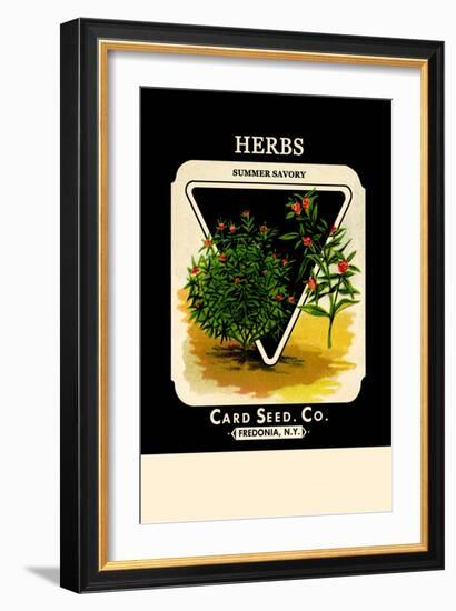 Herbs: Summer Savory-null-Framed Art Print