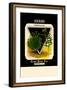 Herbs: Summer Savory-null-Framed Premium Giclee Print