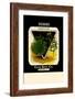 Herbs: Summer Savory-null-Framed Premium Giclee Print
