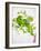 Herbs, Towel, Still Life-Axel Killian-Framed Photographic Print