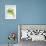 Herbs, Towel, Still Life-Axel Killian-Framed Photographic Print displayed on a wall