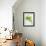 Herbs, Towel, Still Life-Axel Killian-Framed Photographic Print displayed on a wall