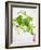 Herbs, Towel, Still Life-Axel Killian-Framed Photographic Print