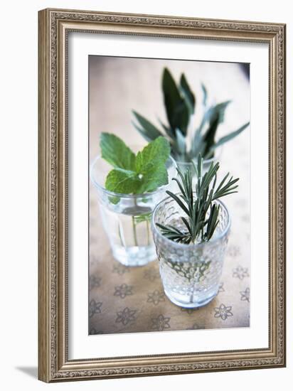 Herbs-Veronique Leplat-Framed Photographic Print