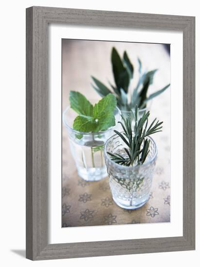 Herbs-Veronique Leplat-Framed Photographic Print