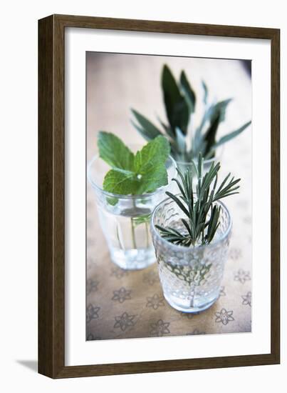 Herbs-Veronique Leplat-Framed Photographic Print