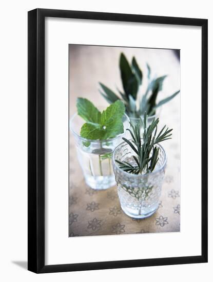 Herbs-Veronique Leplat-Framed Photographic Print