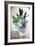 Herbs-Veronique Leplat-Framed Photographic Print