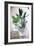 Herbs-Veronique Leplat-Framed Photographic Print