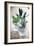 Herbs-Veronique Leplat-Framed Photographic Print