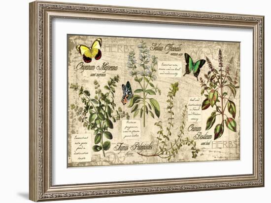 Herbs-Kate Ward Thacker-Framed Giclee Print