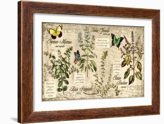 Herbs-Kate Ward Thacker-Framed Giclee Print