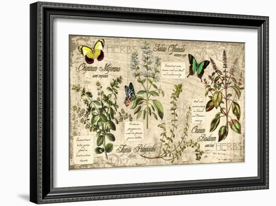 Herbs-Kate Ward Thacker-Framed Giclee Print