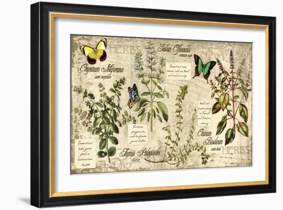 Herbs-Kate Ward Thacker-Framed Giclee Print