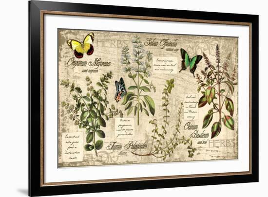 Herbs-Kate Ward Thacker-Framed Giclee Print