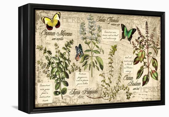 Herbs-Kate Ward Thacker-Framed Premier Image Canvas