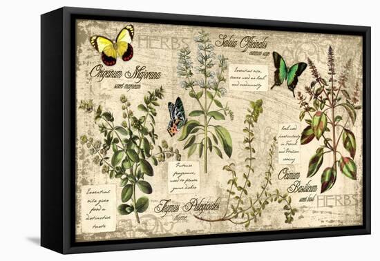 Herbs-Kate Ward Thacker-Framed Premier Image Canvas