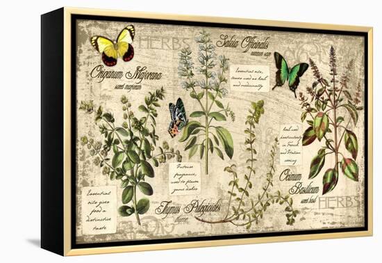 Herbs-Kate Ward Thacker-Framed Premier Image Canvas