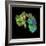 Herceptin Breast Cancer Drug Molecule-PASIEKA-Framed Premium Photographic Print