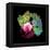 Herceptin Drug And Breast Cancer Cell-PASIEKA-Framed Premier Image Canvas