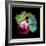 Herceptin Drug And Breast Cancer Cell-PASIEKA-Framed Premium Photographic Print