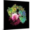 Herceptin Drug And Breast Cancer Cell-PASIEKA-Mounted Premium Photographic Print