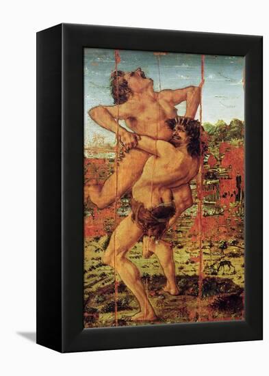 Hercules and Antaeus, 1478-Antonio Pollaiuolo-Framed Premier Image Canvas