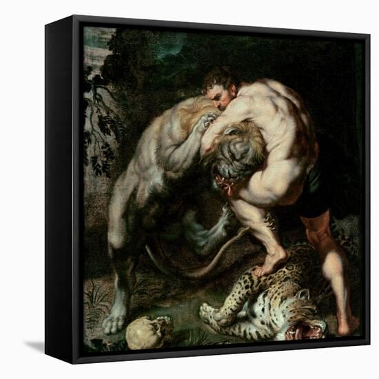 Hercules Fighting the Nemean Lion-Peter Paul Rubens-Framed Premier Image Canvas