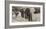 Herd of African Elephants, Kenya-null-Framed Giclee Print