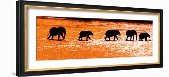 Herd of African Elephants (Loxodonta Africana) Crossing the River, Uaso Nyiro River-null-Framed Photographic Print