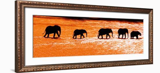 Herd of African Elephants (Loxodonta Africana) Crossing the River, Uaso Nyiro River-null-Framed Photographic Print