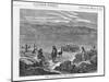 Herd of Alpacas-null-Mounted Giclee Print