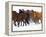 Herd of American Quarter Horses in Winter-Darrell Gulin-Framed Premier Image Canvas