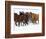 Herd of American Quarter Horses in Winter-Darrell Gulin-Framed Photographic Print