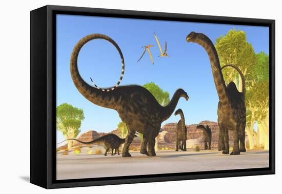 Herd of Apatosaurus Dinosaurs Wander Through a Prehistoric Forest-null-Framed Stretched Canvas