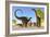 Herd of Apatosaurus Dinosaurs Wander Through a Prehistoric Forest-null-Framed Premium Giclee Print