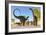 Herd of Apatosaurus Dinosaurs Wander Through a Prehistoric Forest-null-Framed Art Print