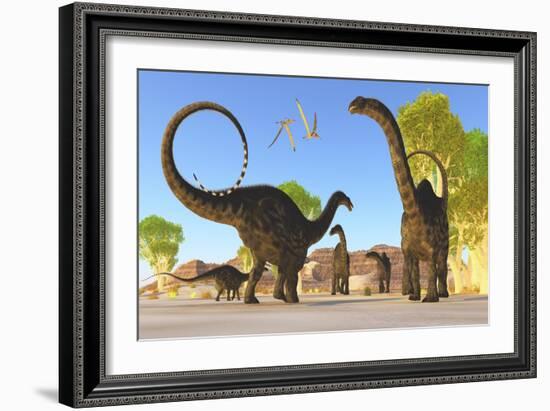 Herd of Apatosaurus Dinosaurs Wander Through a Prehistoric Forest-null-Framed Art Print